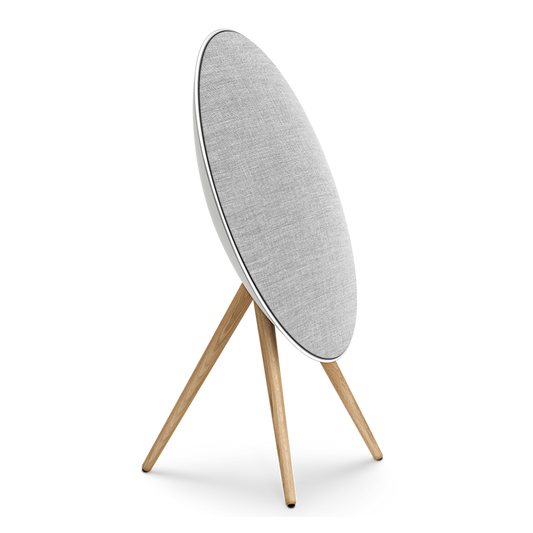 Bang & Olufsen Beosound A9 (Natural Aluminium)