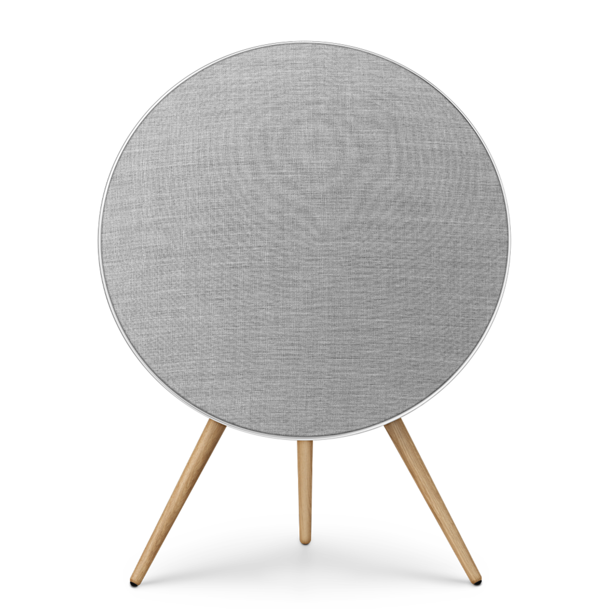 Bang & Olufsen Beosound A9 (Natural Aluminium)