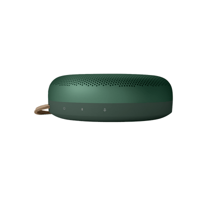 Bang & Olufsen Beosound A1 2nd Gen (Green)