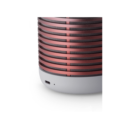 Bang & Olufsen Beosound Explore Atelier Limited Edition (Blossom Pink)