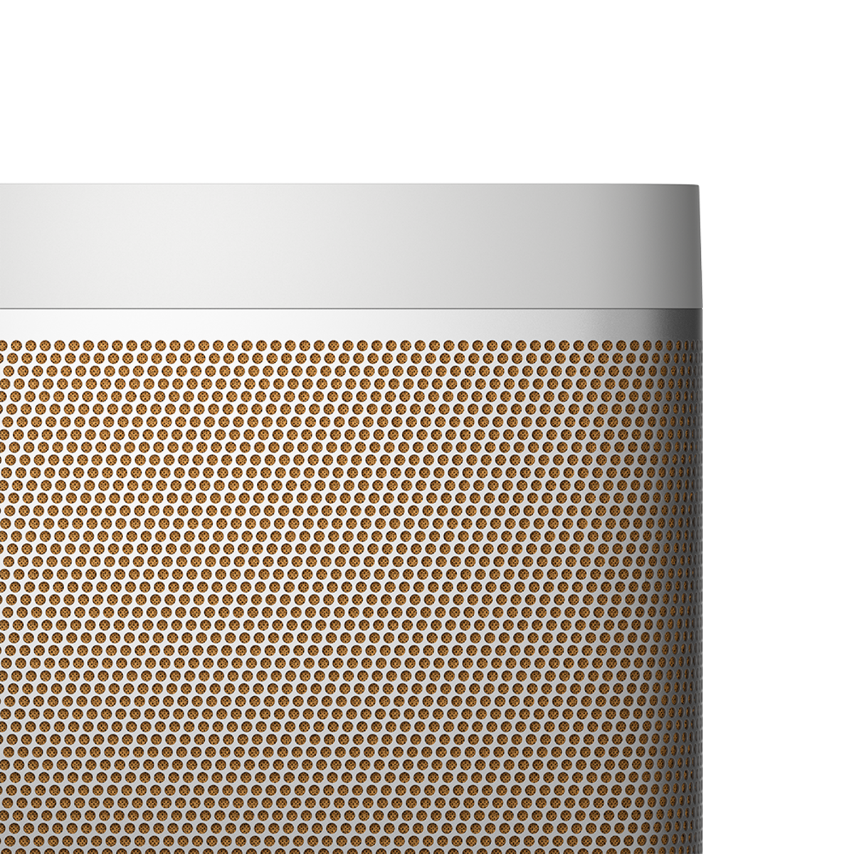 Bang & Olufsen Beolit 20 (Grey Mist)