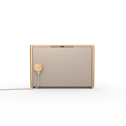 Bang & Olufsen Beosound Level (Gold Tone)